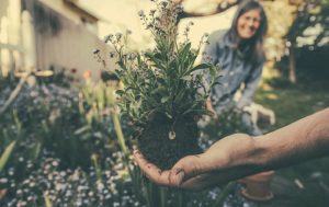 formazio e e ristrutturazione dei giardini